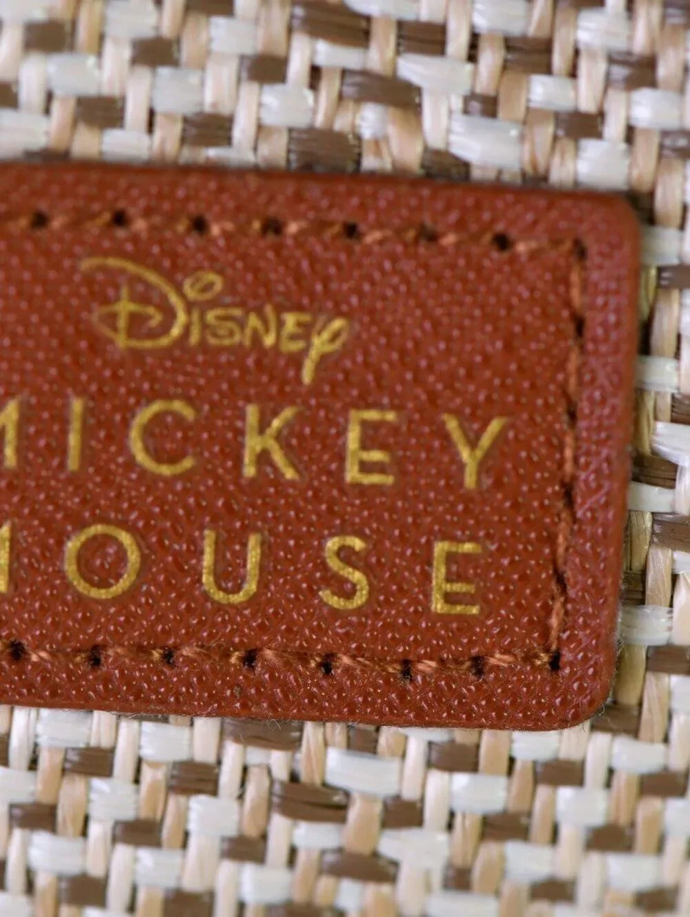 Disney mickey mouse